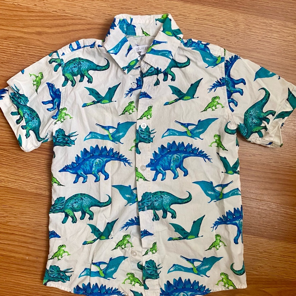 Dinosaur Print Kids Shirt - Blue and Green